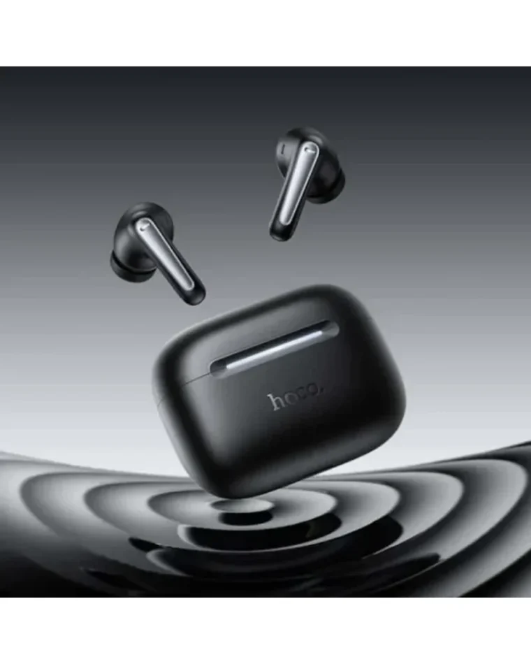Hoco EQ101 ANC Earbuds